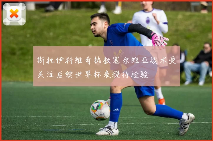 斯托伊科维奇执教塞尔维亚战术受关注后续世界杯表现待检验